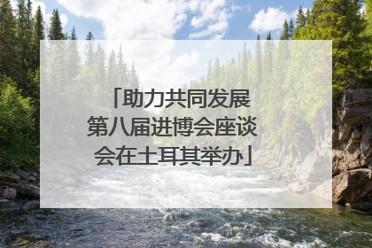 助力共同发展 第八届进博会座谈会在土耳其举办