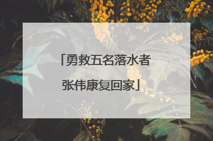 勇救五名落水者 张伟康复回家