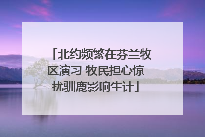 北约频繁在芬兰牧区演习 牧民担心惊扰驯鹿影响生计
