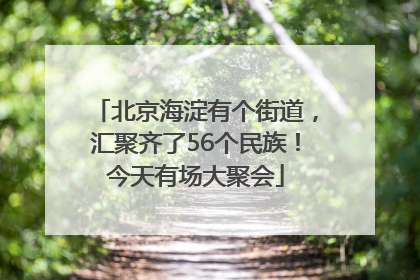 北京海淀有个街道，汇聚齐了56个民族！今天有场大聚会