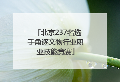北京237名选手角逐文物行业职业技能竞赛