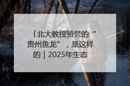 北大教授赞誉的“贵州鱼龙”，是这样的｜2025年生态文明贵阳国际论坛