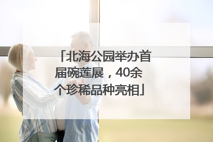 北海公园举办首届碗莲展，40余个珍稀品种亮相