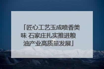 匠心工艺玉成喷香美味 石家庄扎实推进粮油产业高质量发展