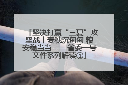 坚决打赢“三夏”攻坚战丨麦穗沉甸甸 粮安稳当当——省委一号文件系列解读①
