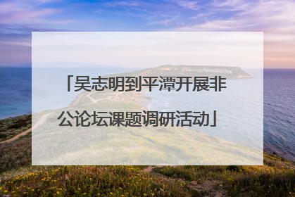 吴志明到平潭开展非公论坛课题调研活动