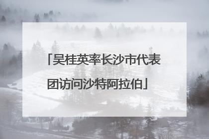吴桂英率长沙市代表团访问沙特阿拉伯