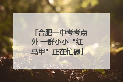 合肥一中考考点外 一群小小“红马甲”正在忙碌