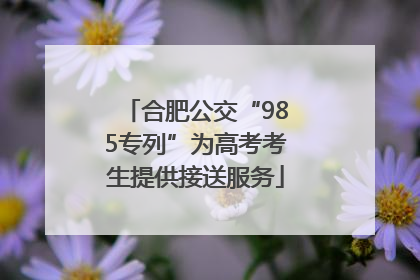 合肥公交“985专列”为高考考生提供接送服务