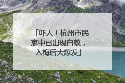 吓人！杭州市民家中已出现白蚁，入梅后大爆发