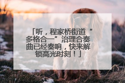 听，程家桥街道“多格合一”治理合奏曲已经奏响，快来解锁高光时刻！