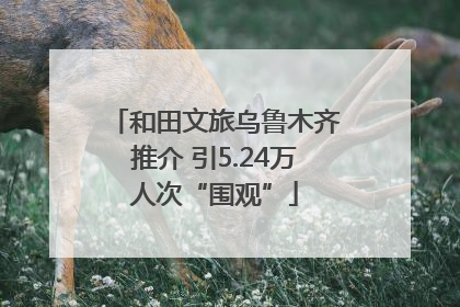 和田文旅乌鲁木齐推介 引5.24万人次“围观”