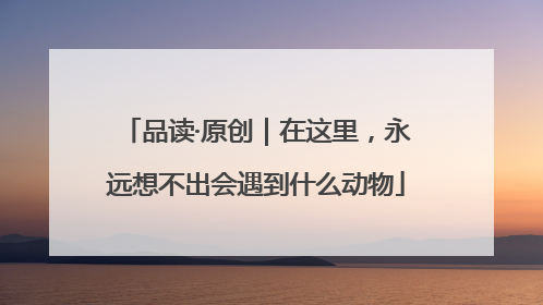 品读·原创｜在这里，永远想不出会遇到什么动物