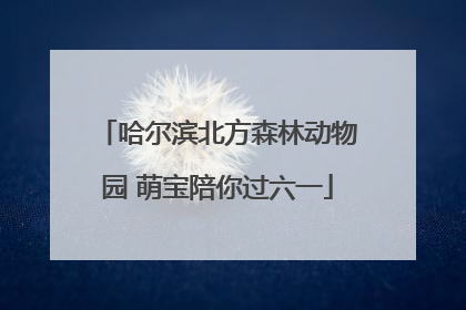 哈尔滨北方森林动物园 萌宝陪你过六一