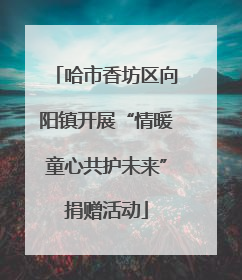 哈市香坊区向阳镇开展“情暖童心共护未来”捐赠活动