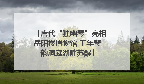 唐代“独幽琴”亮相岳阳楼博物馆 千年琴韵洞庭湖畔苏醒