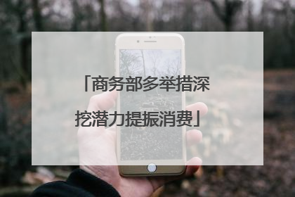 商务部多举措深挖潜力提振消费