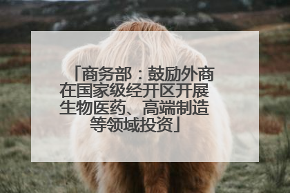 商务部：鼓励外商在国家级经开区开展生物医药、高端制造等领域投资