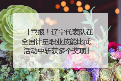 喜报！辽宁代表队在全国计量职业技能比武活动中斩获多个奖项