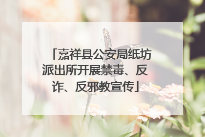 嘉祥县公安局纸坊派出所开展禁毒、反诈、反邪教宣传