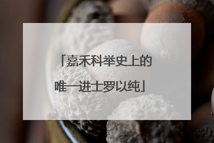 嘉禾科举史上的唯一进士罗以纯