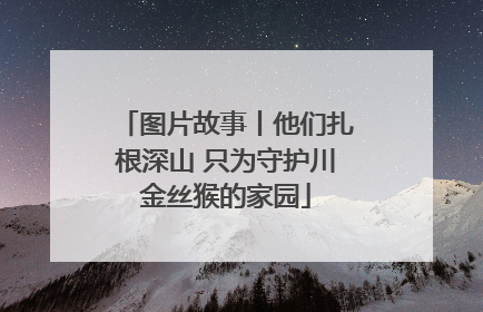 图片故事丨他们扎根深山 只为守护川金丝猴的家园