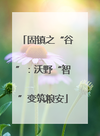 固镇之“谷”：沃野“智”变筑粮安