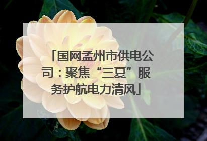 国网孟州市供电公司：聚焦“三夏”服务护航电力清风