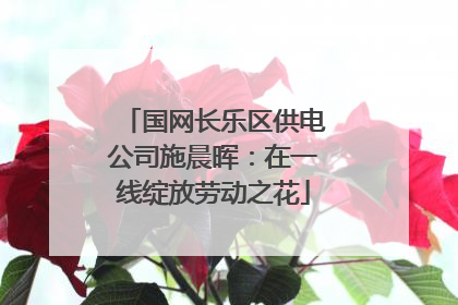国网长乐区供电公司施晨晖：在一线绽放劳动之花