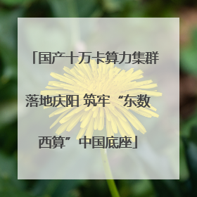 国产十万卡算力集群落地庆阳 筑牢“东数西算”中国底座