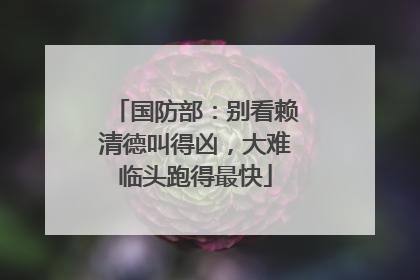 国防部：别看赖清德叫得凶，大难临头跑得最快