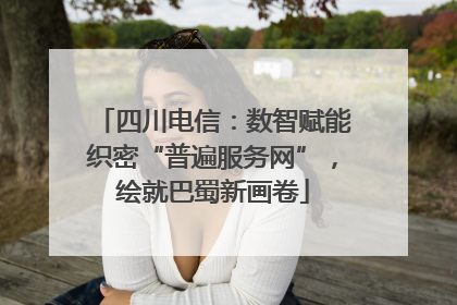 四川电信：数智赋能织密“普遍服务网”，绘就巴蜀新画卷