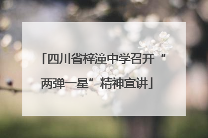 四川省梓潼中学召开“两弹一星”精神宣讲