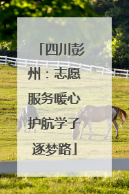 四川彭州：志愿服务暖心护航学子逐梦路