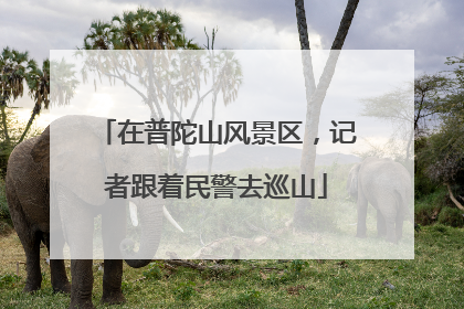 在普陀山风景区，记者跟着民警去巡山