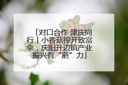 对口合作 津庆同行丨小香菇撑开致富伞，庆阳开边镇产业振兴有“蘑”力