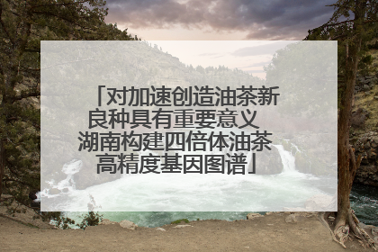 对加速创造油茶新良种具有重要意义 湖南构建四倍体油茶高精度基因图谱