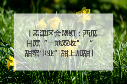 孟津区会盟镇：西瓜甘蔗“一地双收” “甜蜜事业”甜上加甜