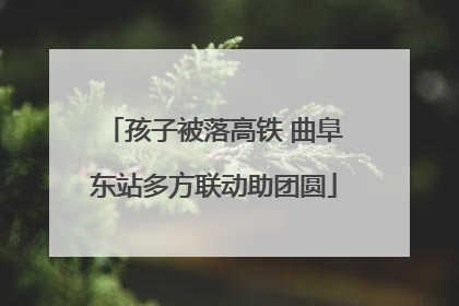 孩子被落高铁 曲阜东站多方联动助团圆