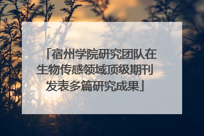 宿州学院研究团队在生物传感领域顶级期刊发表多篇研究成果