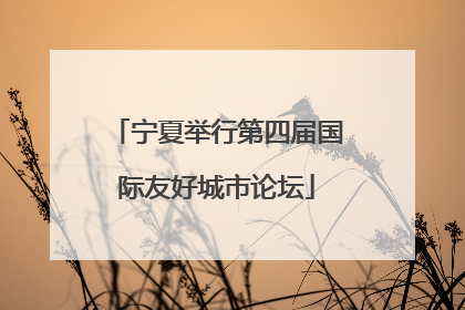 宁夏举行第四届国际友好城市论坛