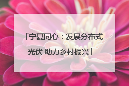 宁夏同心：发展分布式光伏 助力乡村振兴