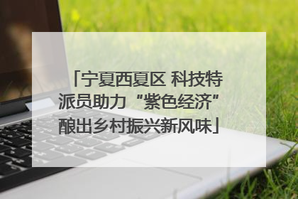 宁夏西夏区 科技特派员助力“紫色经济”酿出乡村振兴新风味