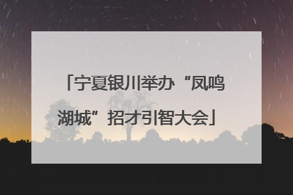 宁夏银川举办“凤鸣湖城”招才引智大会