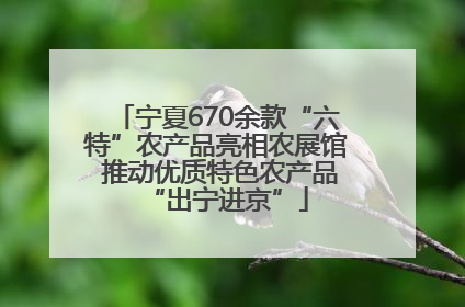 宁夏670余款“六特”农产品亮相农展馆 推动优质特色农产品“出宁进京”