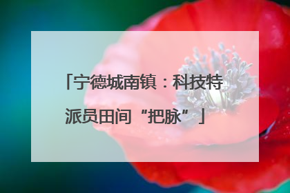宁德城南镇：科技特派员田间“把脉”