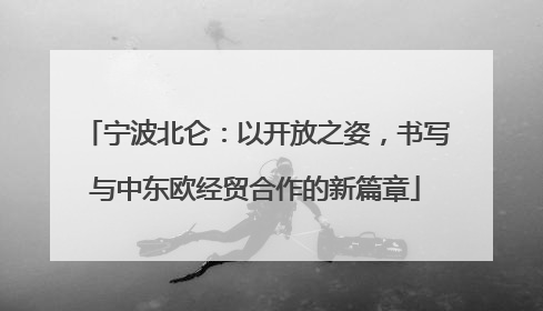 宁波北仑：以开放之姿，书写与中东欧经贸合作的新篇章