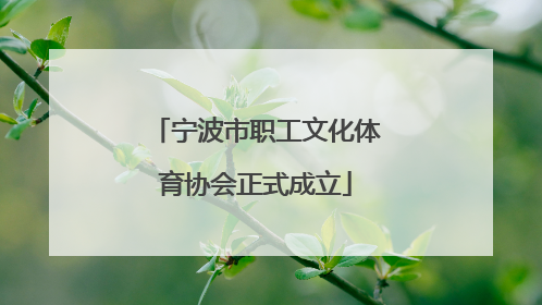 宁波市职工文化体育协会正式成立