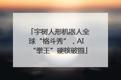 宇树人形机器人全球“格斗秀”，AI“拳王”硬核破圈