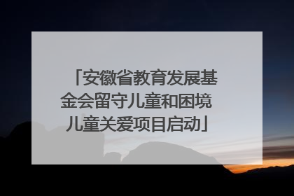 安徽省教育发展基金会留守儿童和困境儿童关爱项目启动